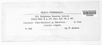 Image Associated With the Occurence